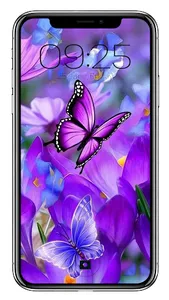 Wallpaper Kupu Kupu screenshot 1