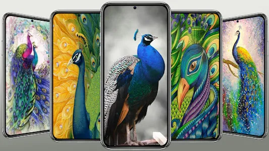 Beautiful Peacock Wallpaper screenshot 3