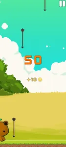 Rain-Bow Arrow screenshot 2