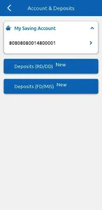 Savi Nidhi screenshot 2