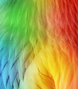 Best Wallpapers for SamSung screenshot 3
