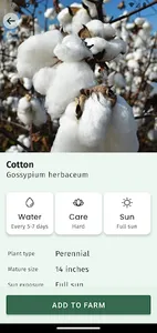 Agricola screenshot 2