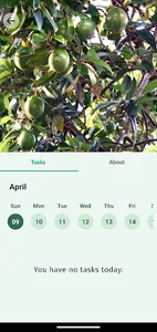 Agricola screenshot 9