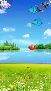 Catch The Birds screenshot 1