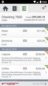 SLV Federal Bank Business screenshot 4