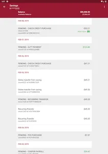 SLV Federal Bank Mobile App screenshot 13