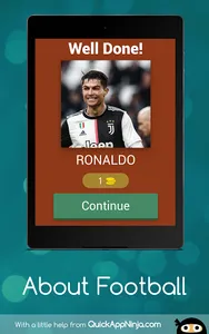 About Football screenshot 12
