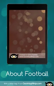 About Football screenshot 14