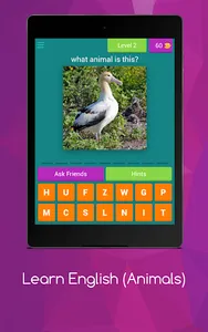 Learn English (Animals) screenshot 17