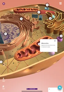 Realidad Extendida Santillana screenshot 8