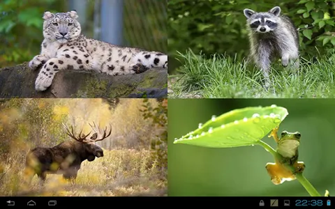 Kids learns animals screenshot 10