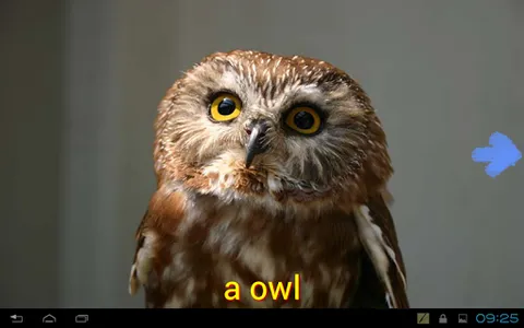 Kids learns animals screenshot 15