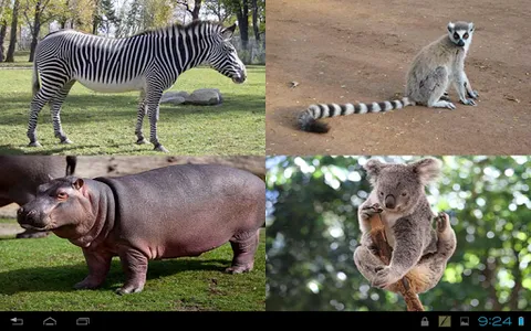 Kids learns animals screenshot 17