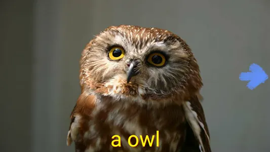 Kids learns animals screenshot 2
