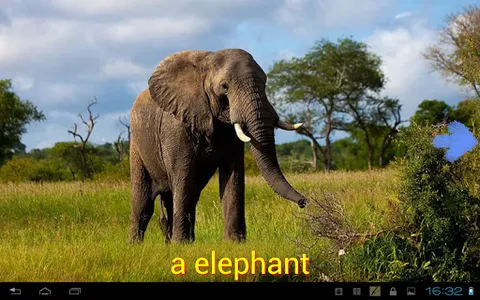 Kids learns animals screenshot 9