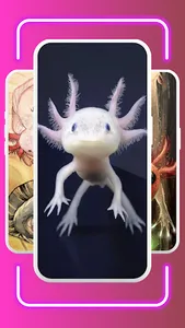 Cute Axolotl Wallpaper screenshot 1