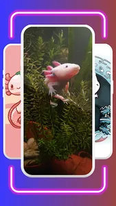 Cute Axolotl Wallpaper screenshot 3