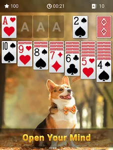 Solitaire Lite screenshot 17