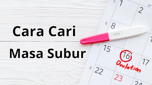Cara Cari Masa Subur screenshot 2
