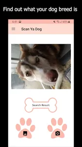 🐶 Scan Ya Dog - Dog Breed Ide screenshot 1