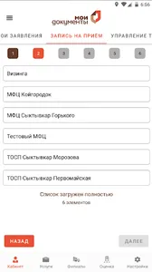 МФЦ «Мои документы» Республики screenshot 5