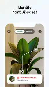 Plant App - Plant Identifier screenshot 2