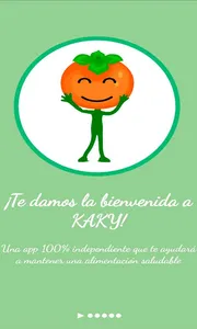 KAKY - Análisis de productos screenshot 14