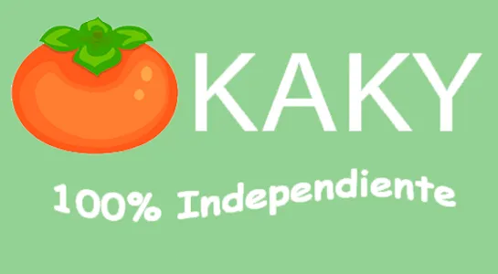KAKY - Análisis de productos screenshot 7