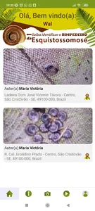 SchistoAqui screenshot 0