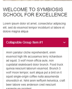 Symbiosis School For Excellenc screenshot 3