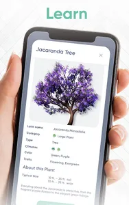 Garden Joy screenshot 11