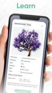 Garden Joy screenshot 3