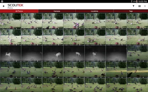 SCOUTEK - Camera Management screenshot 9