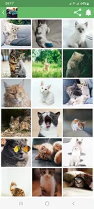 Screen backgrounds 13K screenshot 2
