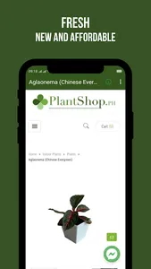 PlantShop.PH - Plantito and Pl screenshot 10