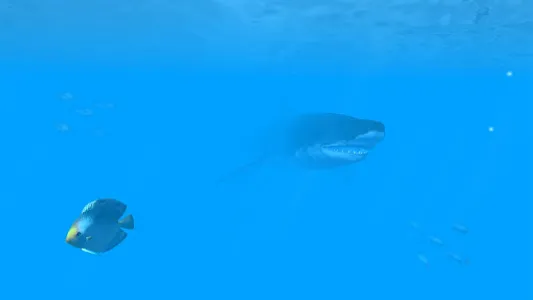 VR Ocean Aquarium 3D screenshot 10