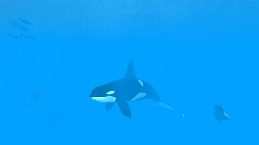 VR Ocean Aquarium 3D screenshot 8