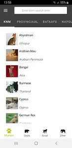 Kevelam test screenshot 0