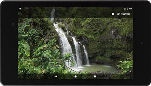 Tropical Waterfall Live Wallpa screenshot 4