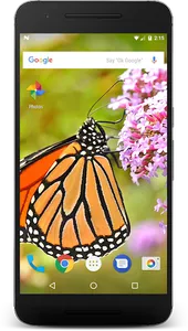 Wild Butterfly Live Wallpaper screenshot 0