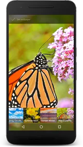 Wild Butterfly Live Wallpaper screenshot 1