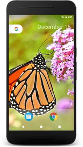 Wild Butterfly Live Wallpaper screenshot 3