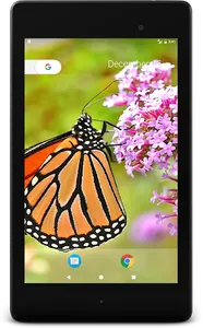 Wild Butterfly Live Wallpaper screenshot 5