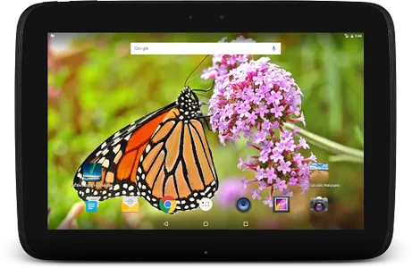 Wild Butterfly Live Wallpaper screenshot 9