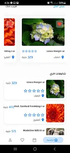 Sefak andena screenshot 2