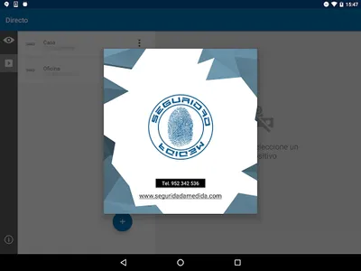 Seguridad A Medida EasyView screenshot 6