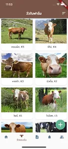 Dairy Cattle 4.0 screenshot 2
