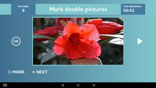 Pictures Game screenshot 4