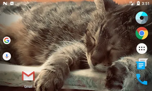 Cat Clock screenshot 0