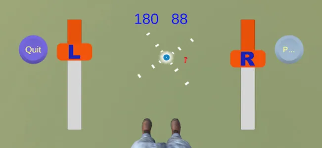 Target Skydiving screenshot 4